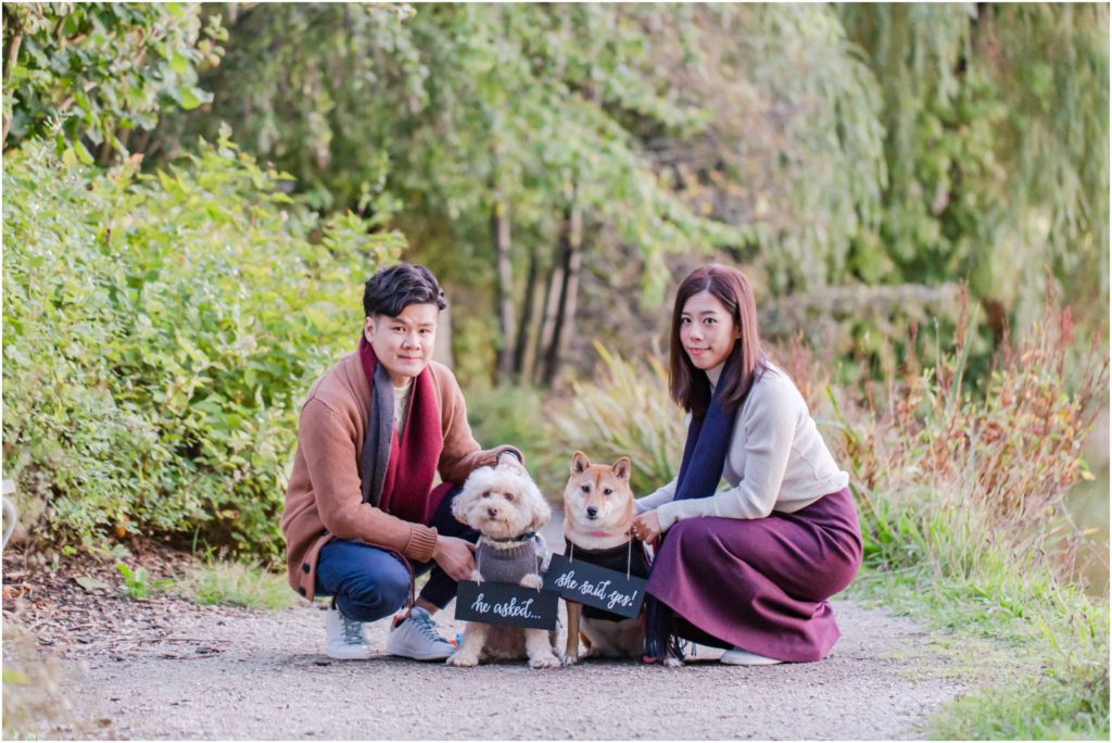 Engagement Photos in Stanley Park with dogs
