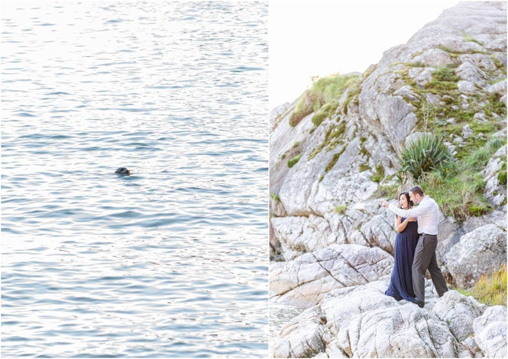 A seal swimming at Whytecliff Park during a couple's Engagement session