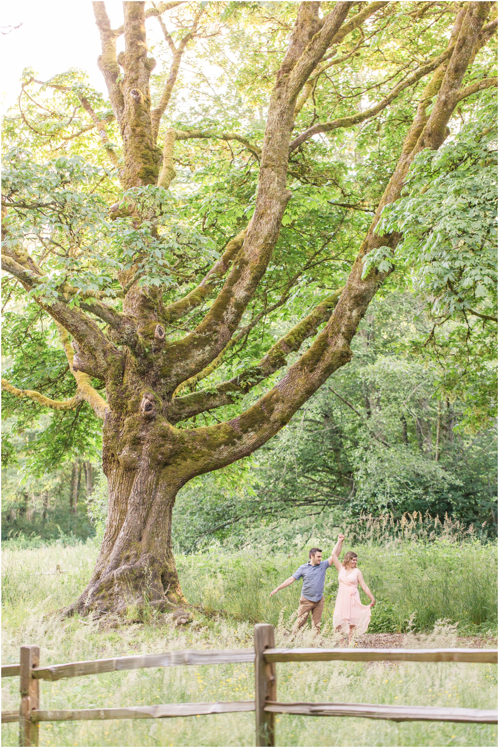 Redwood Park Engagement Photo of Couple dancing under big redwood tree at Redwood Park in Surrey
