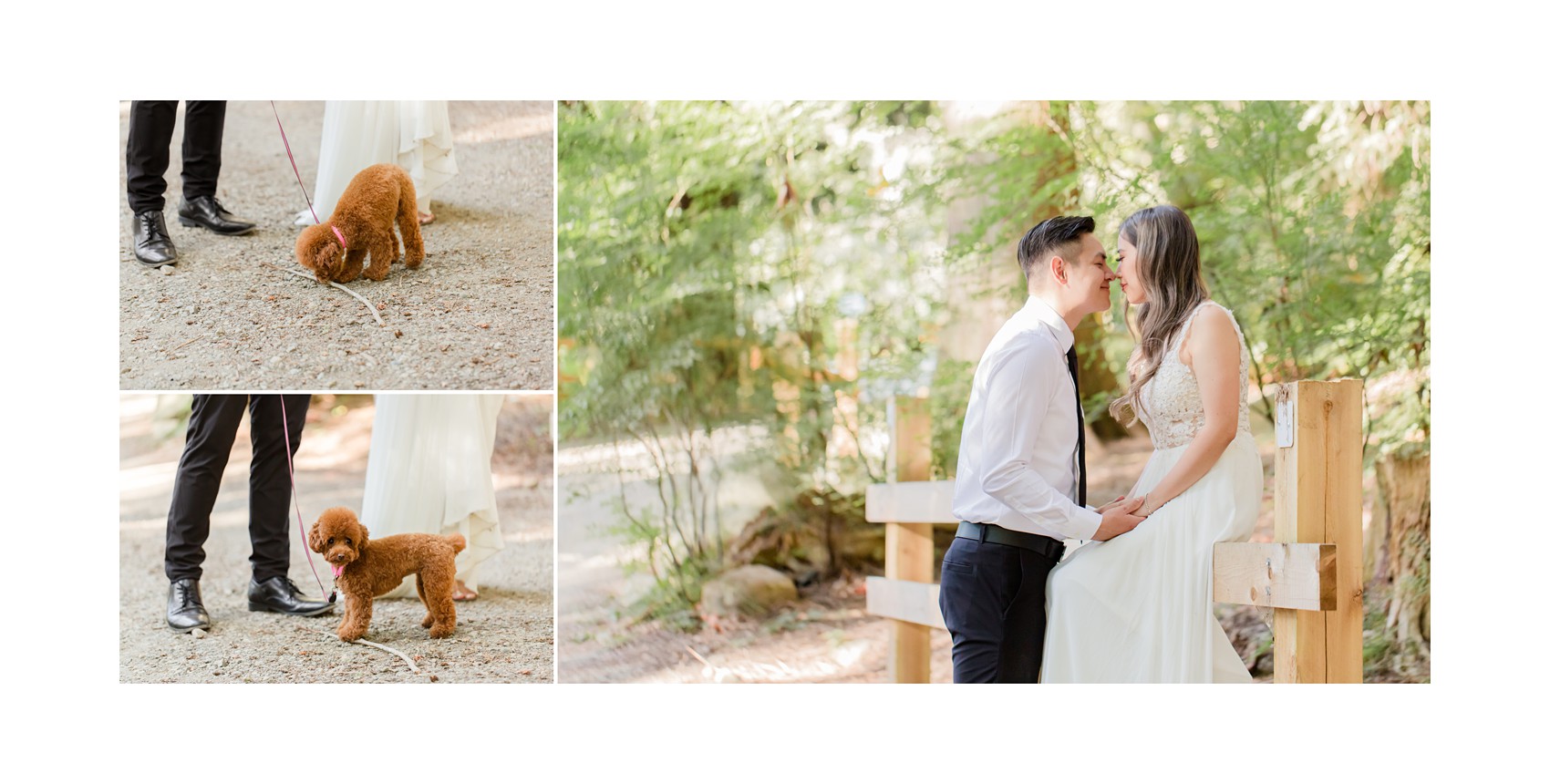 West Vancouver Whytecliff Engagement Session - with couple's brown toy poodle 