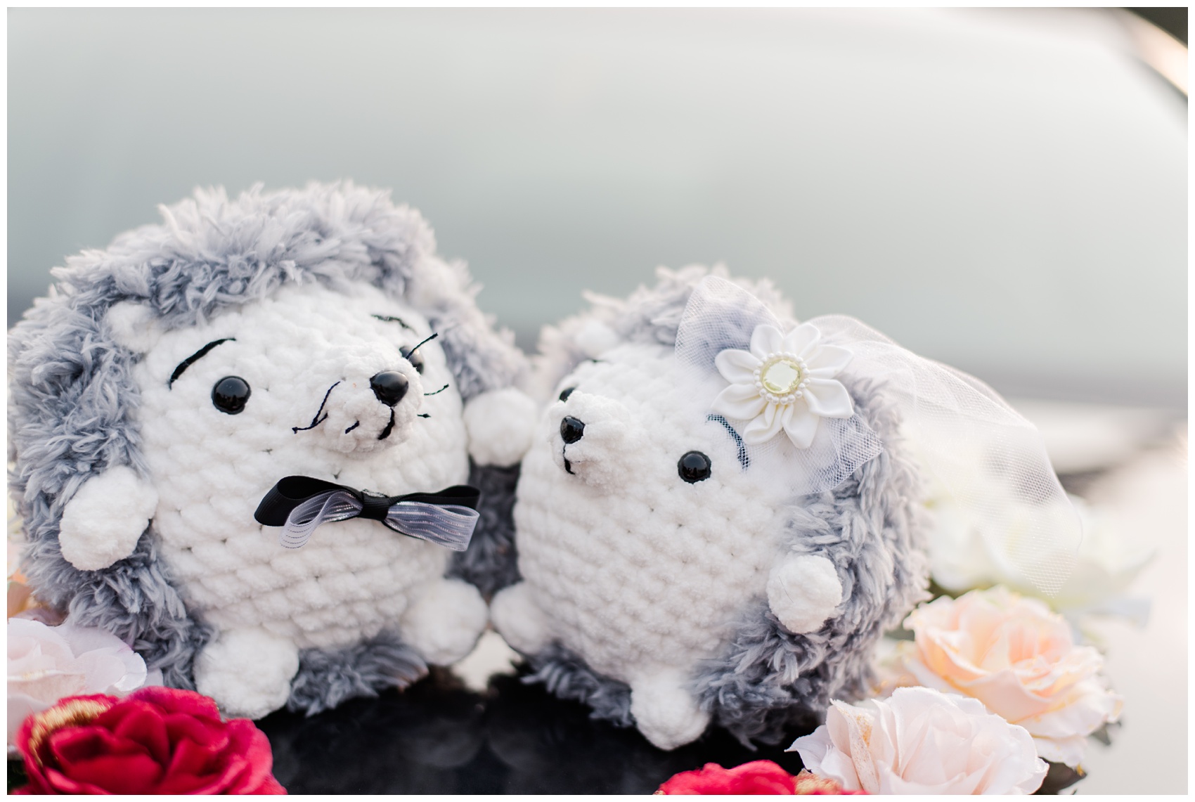Two stuffed bride and groom wedding hedgehogs on a car in Coquitlam