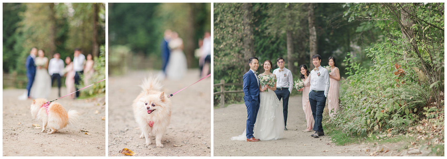 Lafarge Lake Wedding Bridal Party and family group photos, meeting a pedestrian dog 