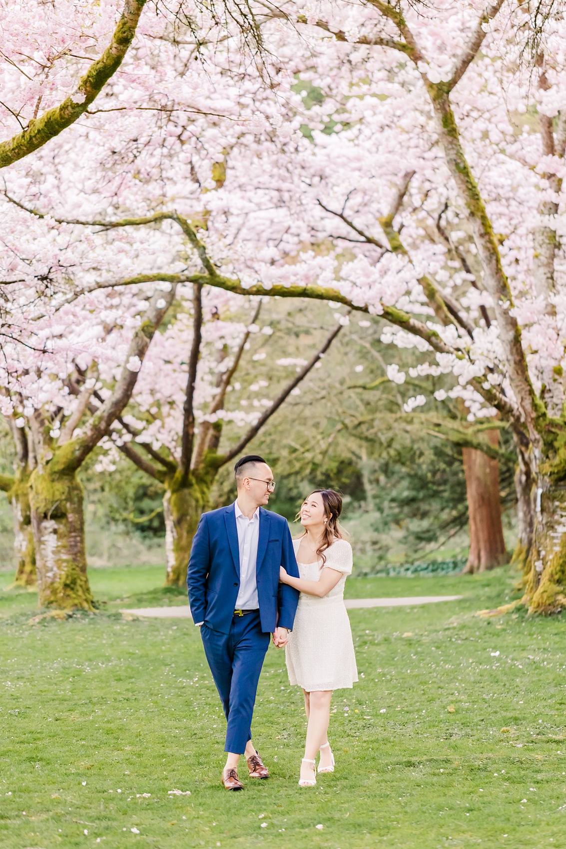Engagement photo of bride and groom walking under the cherry blossom trees at Stanley Park in Vancouver BC