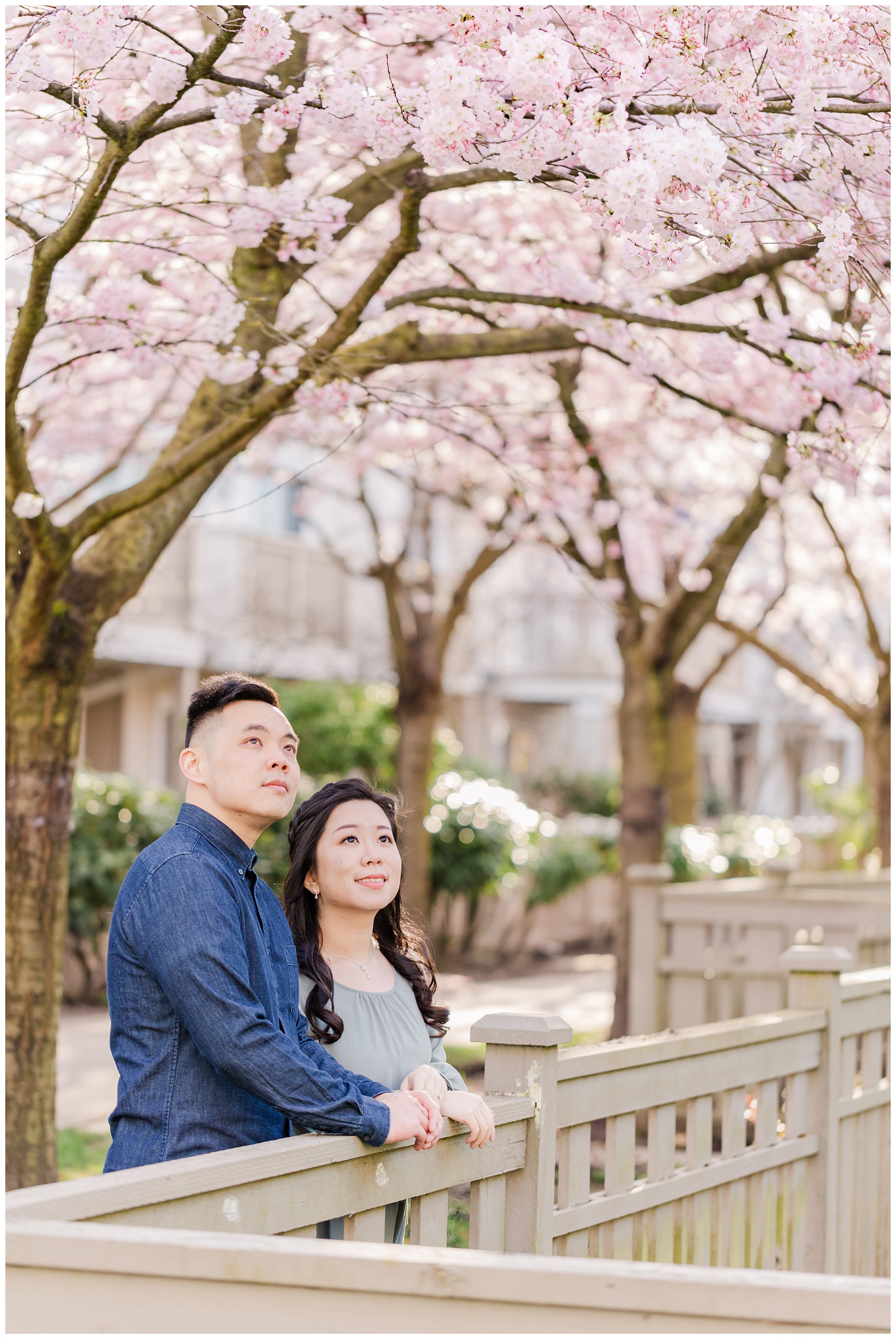Cherry Blossoms Engagement in Richmond, BC