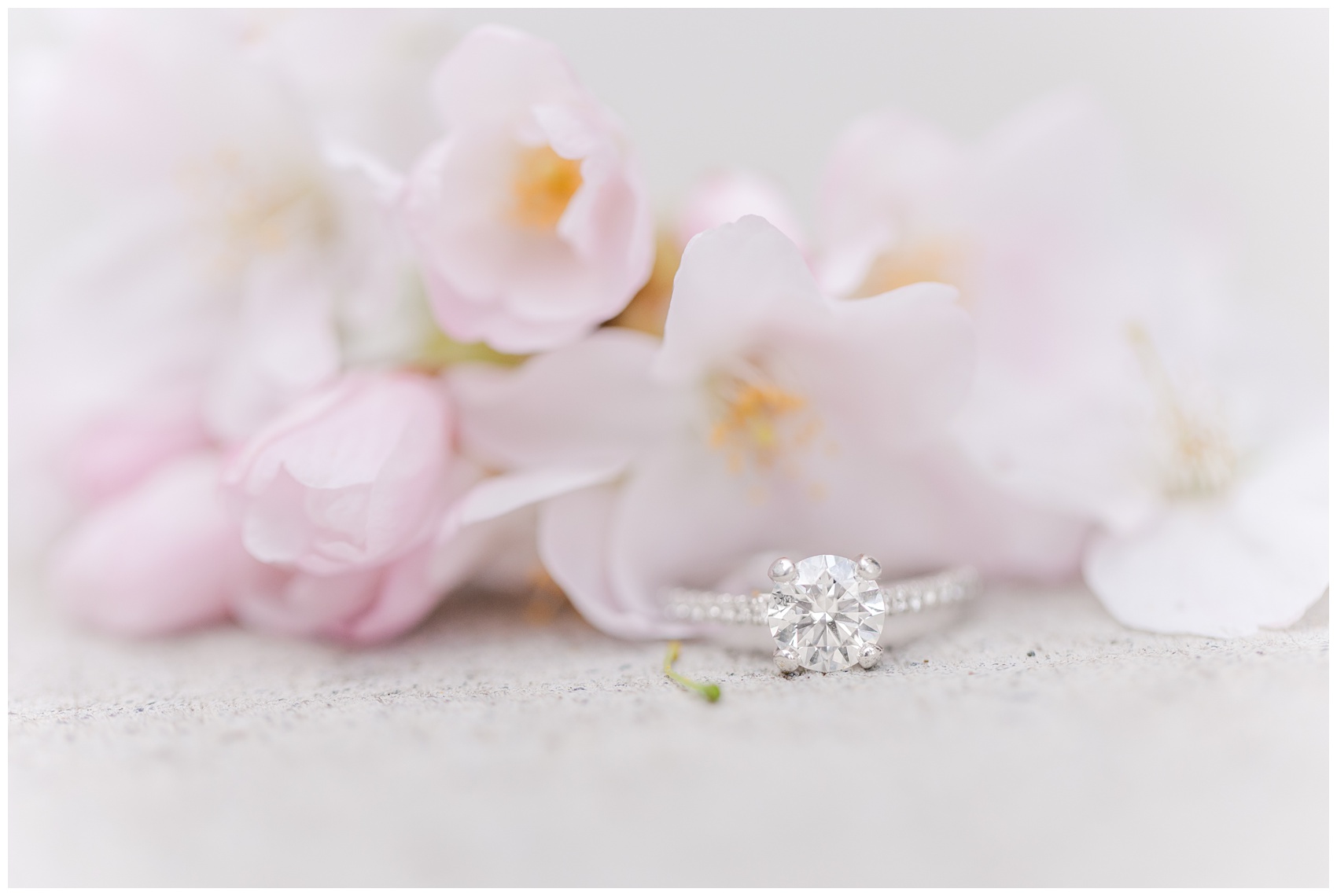 Engagement Ring with cherry blossoms, taken in Richmond, BC